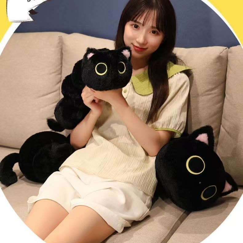 https://fulmo-img-server.com/nyankomo/1781143022645_fg7jvtt6_45gcxbvr.jpeg