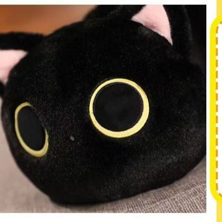 https://fulmo-img-server.com/nyankomo/1781143055260_z29qcnmj_sa78z3eu.jpeg