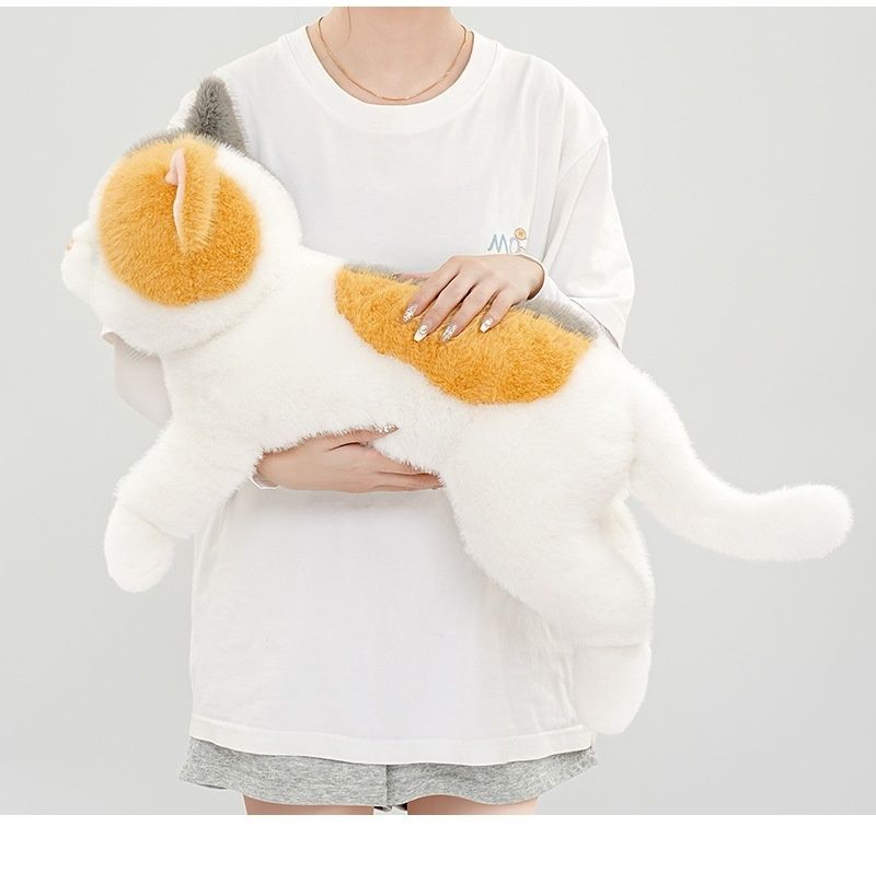 https://fulmo-img-server.com/nyankomo/1781143704240_wxxvjrmc_310wvmfr.jpeg