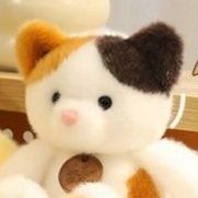 https://fulmo-img-server.com/nyankomo/1781143907255_dccopb8p_loxu0hhm.jpeg