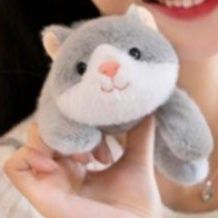 猫ぬいぐるみ もちもち猫ぬいぐるみ 手のひらサイズのふわふわ小物　グレー