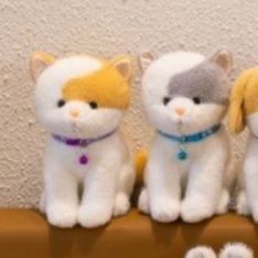 https://fulmo-img-server.com/nyankomo/1787104496956_h5omg4zz_uf8vd5qu.jpeg