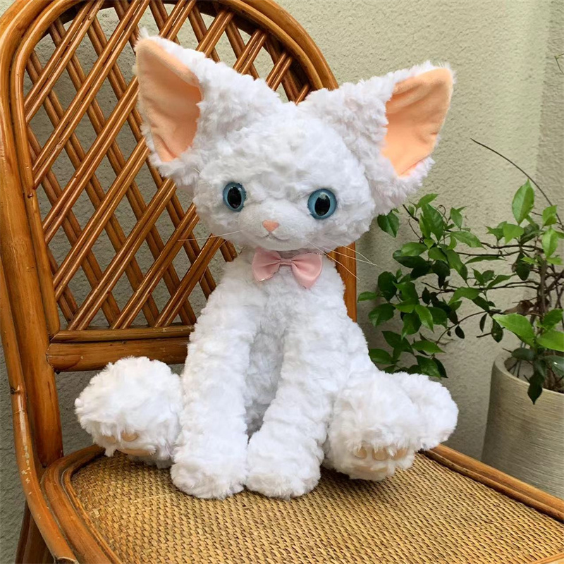 https://fulmo-img-server.com/nyankomo/19bec611-389a-48c0-ad14-a0ff58928b97.jpg