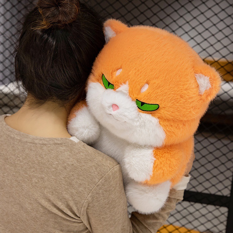 https://fulmo-img-server.com/nyankomo/1ba7e4c0-88e2-4194-b745-1d26bc415c0b.jpg