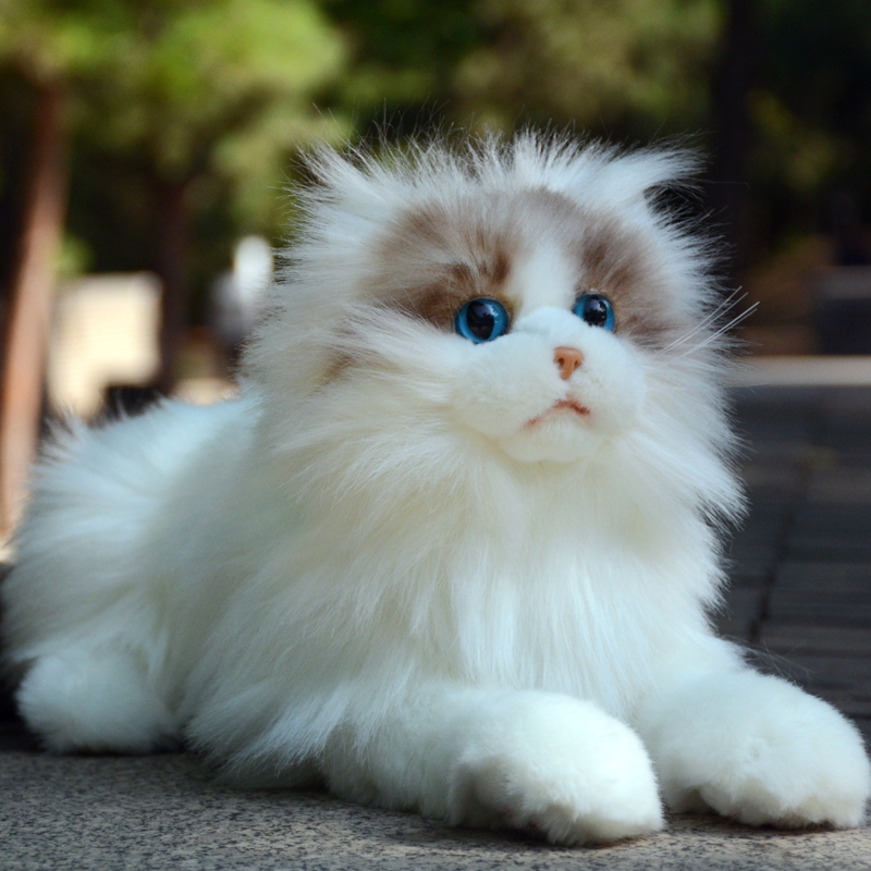 猫ぬいぐるみ 白色 ふわもこ天使のひととき