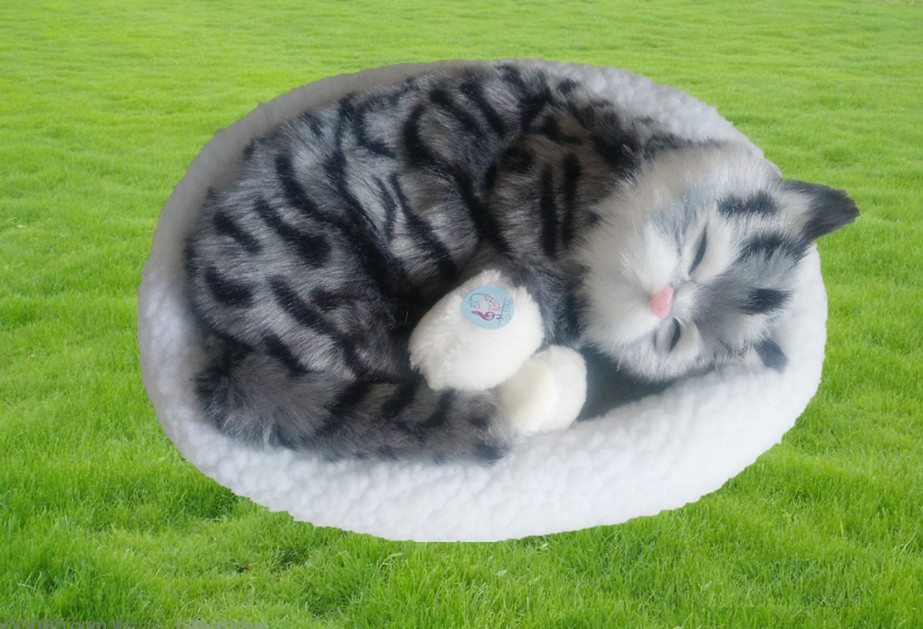 トラ茶猫ぬいぐるみ 眠る子猫のふわふわ丸型座布団付き猫ぬいぐるみ