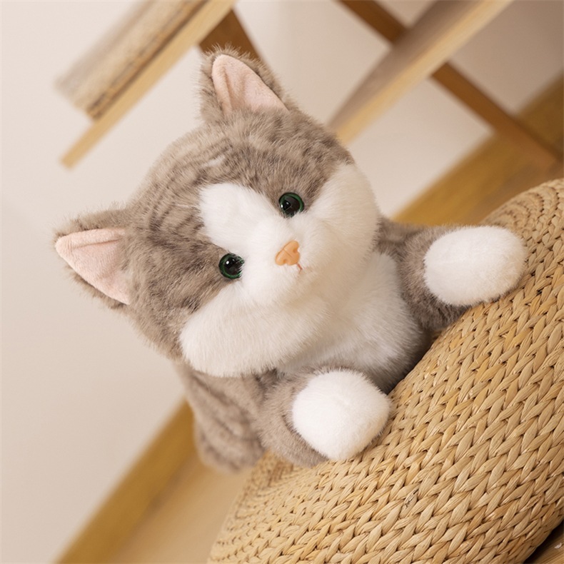 https://fulmo-img-server.com/nyankomo/20b14db8-743d-41b3-aa5a-e42619d66e4f.jpg