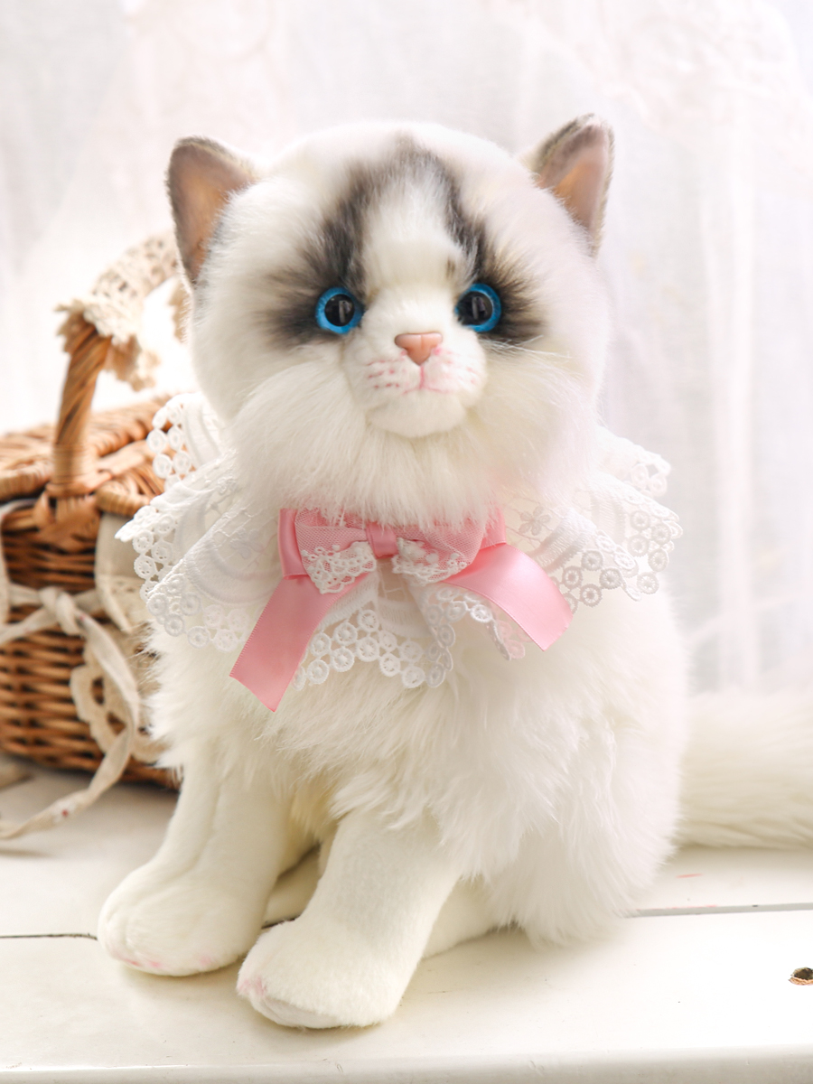 https://fulmo-img-server.com/nyankomo/21e23a46-326b-4203-a111-9916a7dce914.jpg