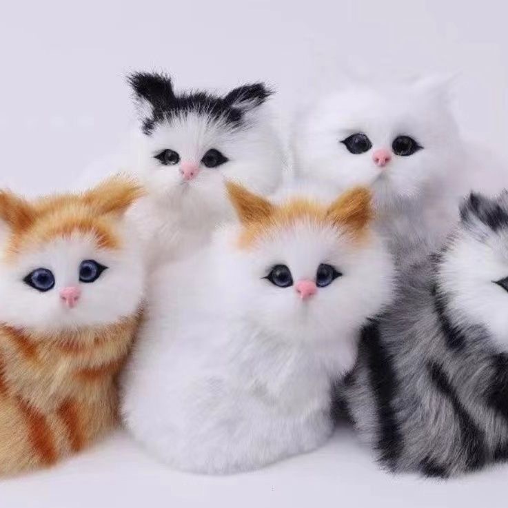 https://fulmo-img-server.com/nyankomo/23e04962-2dd4-4d93-bc0b-4930139934a6.jpg
