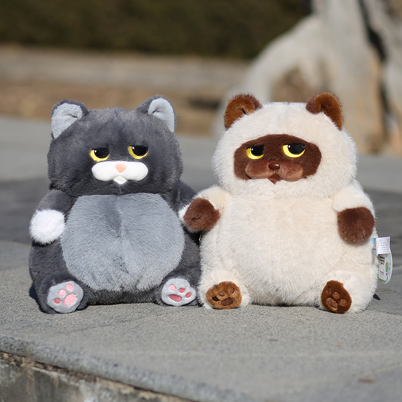 https://fulmo-img-server.com/nyankomo/255e1901-4b8e-4eab-b0f4-24893a1e2bdb.jpg