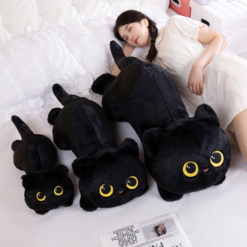 https://fulmo-img-server.com/nyankomo/28871b58-2d6c-4c35-b6ef-ab2b23d812c4.jpg