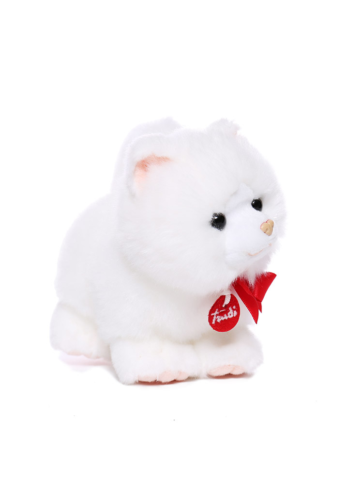https://fulmo-img-server.com/nyankomo/2b71caa7-39ce-45f3-9a7f-608dd25876b3.jpg