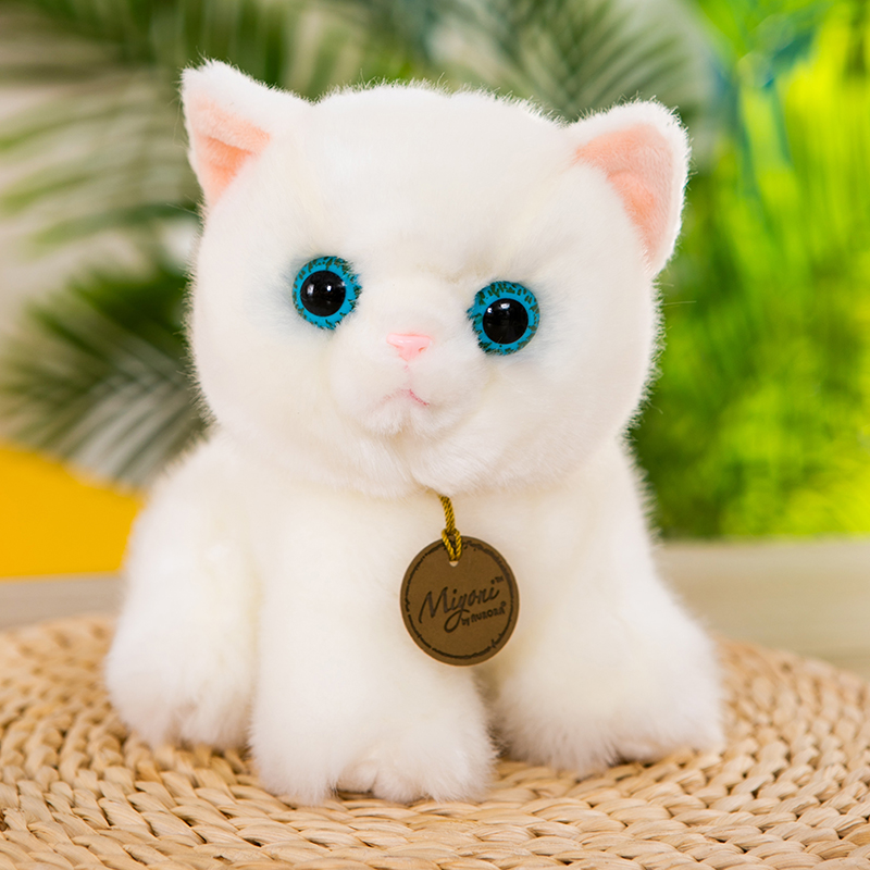 https://fulmo-img-server.com/nyankomo/37977806-fb2d-4dc1-a883-57cdaffb104d.jpg