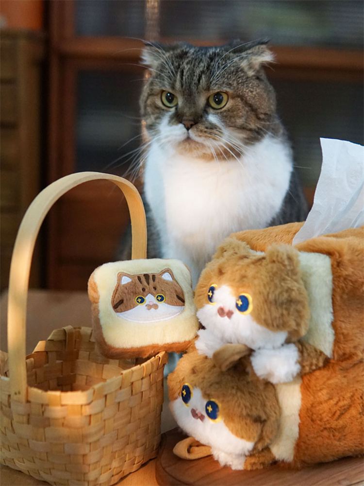 https://fulmo-img-server.com/nyankomo/3a4154b8-2beb-49bf-9d20-3d2a885a1a66.jpg