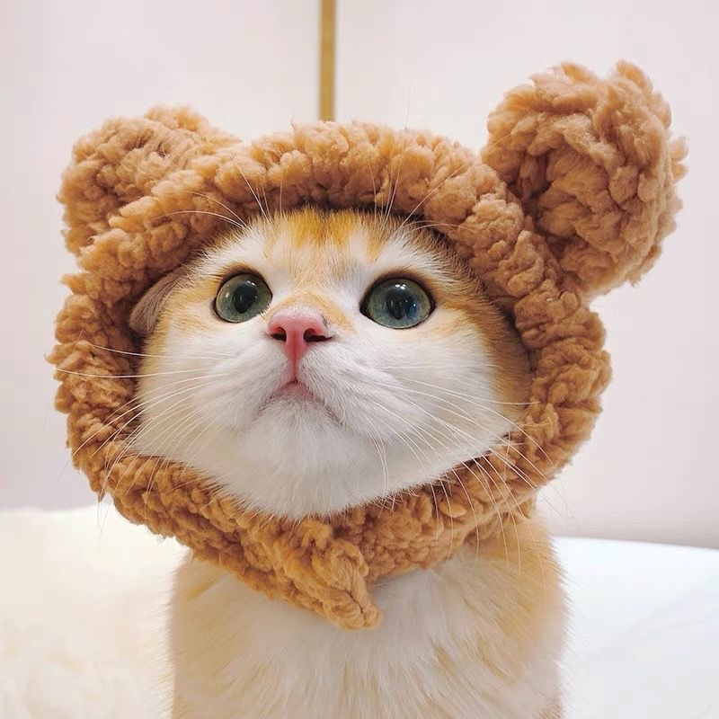 https://fulmo-img-server.com/nyankomo/3b5a4d7c-673c-4e93-9818-1c86bb0915a7.jpg