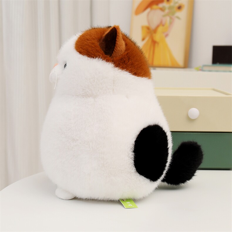 https://fulmo-img-server.com/nyankomo/3b7343f4-adcf-4787-868f-57dae066db29.jpg