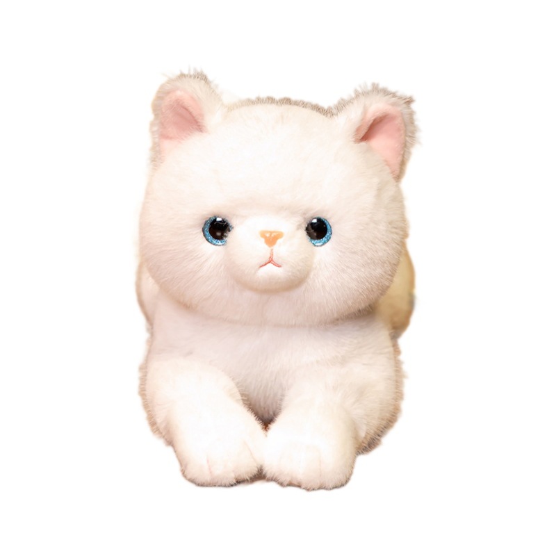 https://fulmo-img-server.com/nyankomo/3cf0743b-305a-4bdd-ba37-6dd3efea31e1.jpg