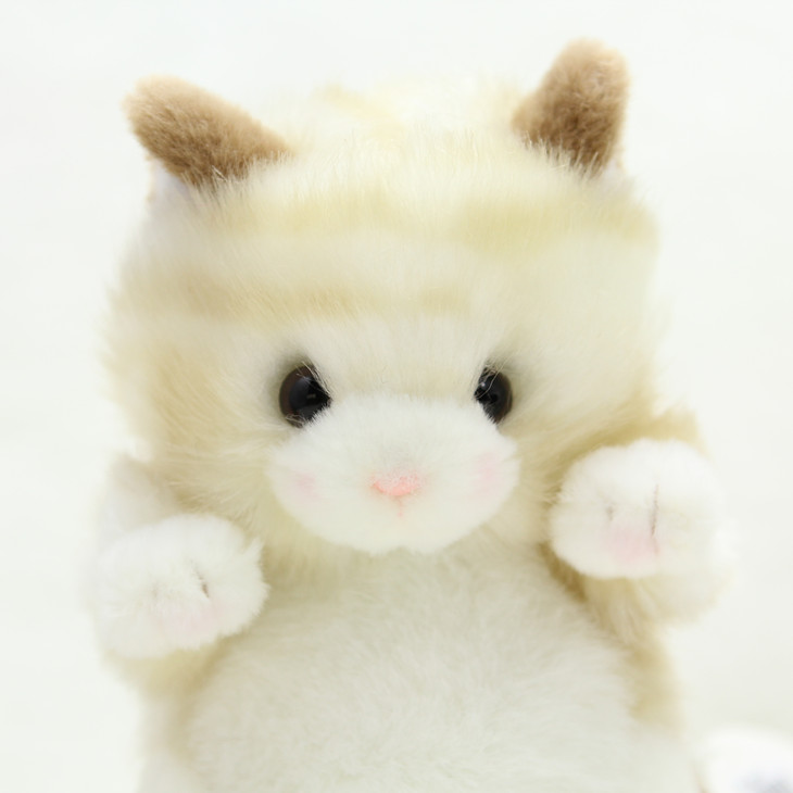 https://fulmo-img-server.com/nyankomo/3d96dfc9-aff3-4eb6-bd2b-ff2c825c5319.jpg