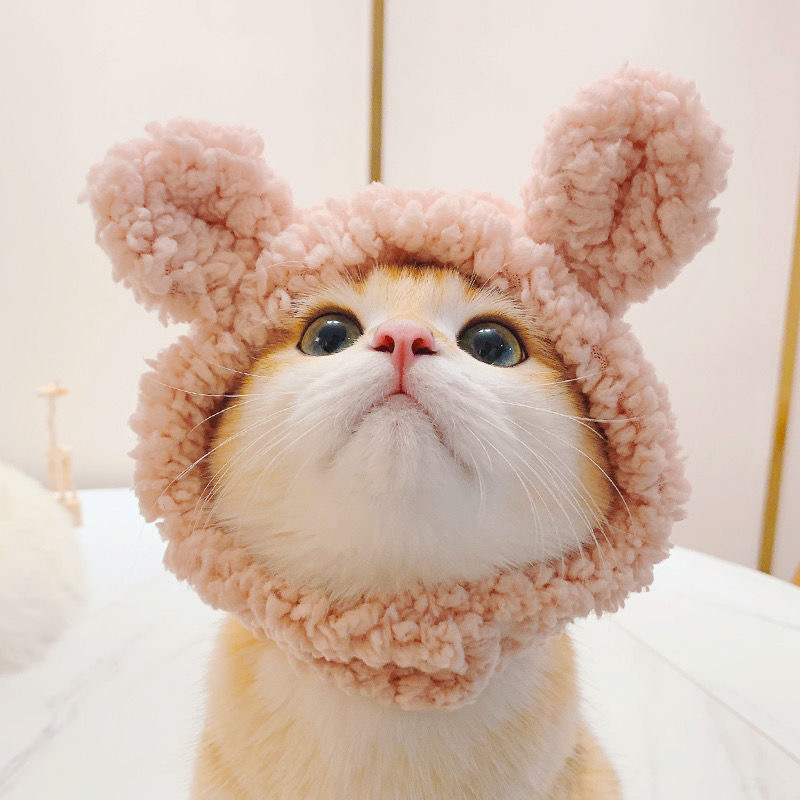 https://fulmo-img-server.com/nyankomo/40212f90-ab65-420a-8917-5d36072fb2c3.jpg