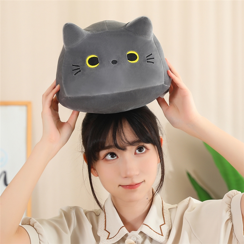 https://fulmo-img-server.com/nyankomo/428dfbff-b1ad-404b-be4f-5f261ec11874.jpg