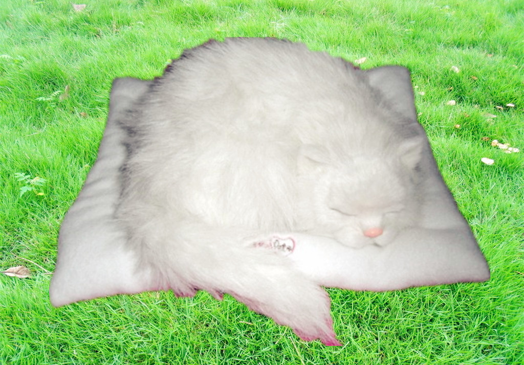 猫ぬいぐるみ まるくなって眠る子猫のぬいぐるみ丸型座布団付き