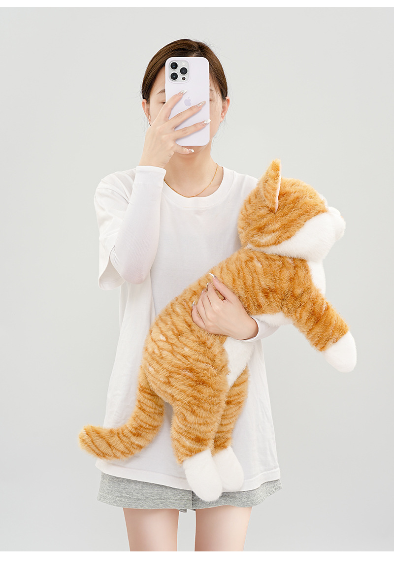 https://fulmo-img-server.com/nyankomo/4c9f9233-420f-471b-bc66-c7e65045a8cf.jpg