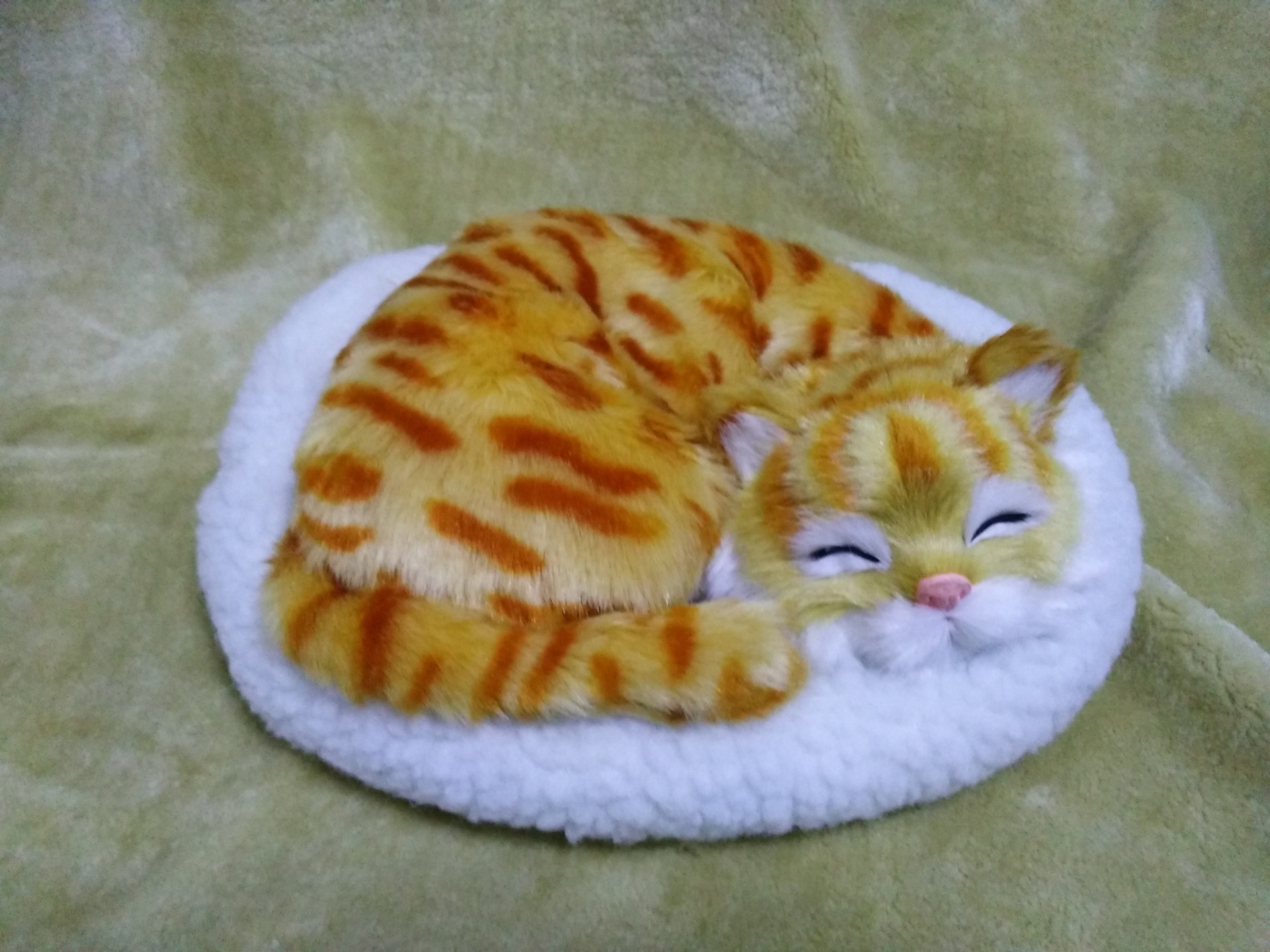 トラ茶猫ぬいぐるみ 眠る子猫のふわふわ丸型座布団付き猫ぬいぐるみ