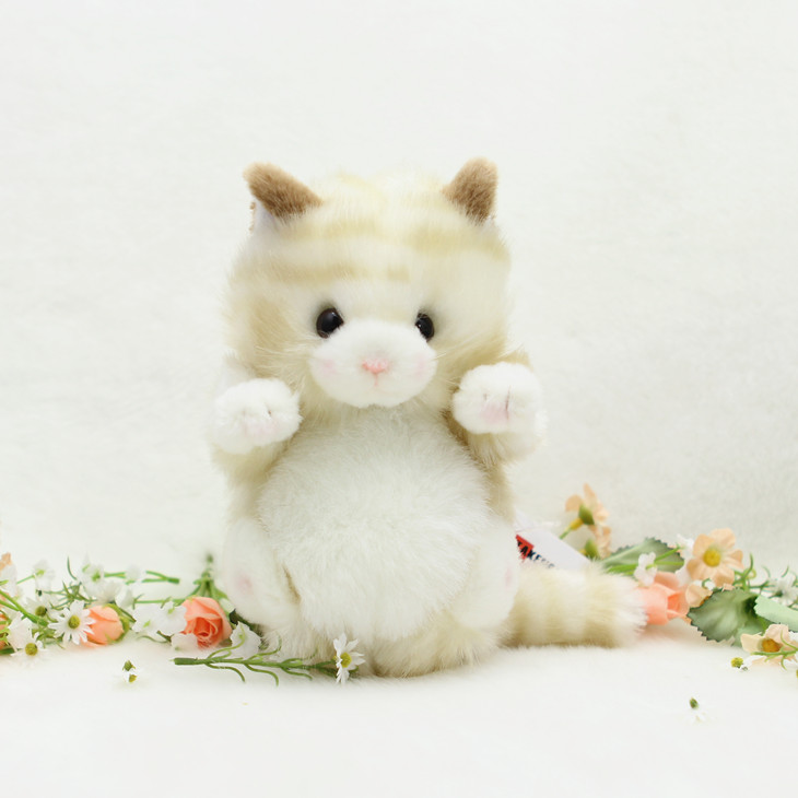 https://fulmo-img-server.com/nyankomo/4e77ee7e-e42c-4a1c-bd49-bffa74353530.jpg