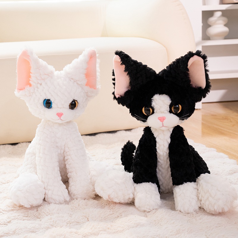 https://fulmo-img-server.com/nyankomo/4ee75ff4-72fb-4034-bb72-397aa1598edf.jpg