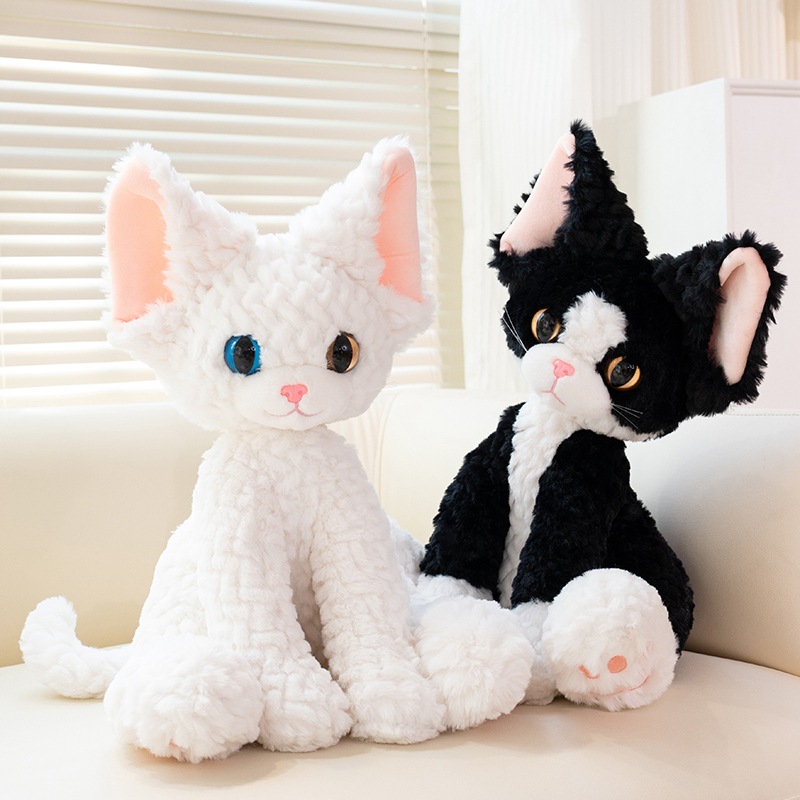 https://fulmo-img-server.com/nyankomo/50841826-e2f3-4f97-8ef4-9ba970c80778.jpg