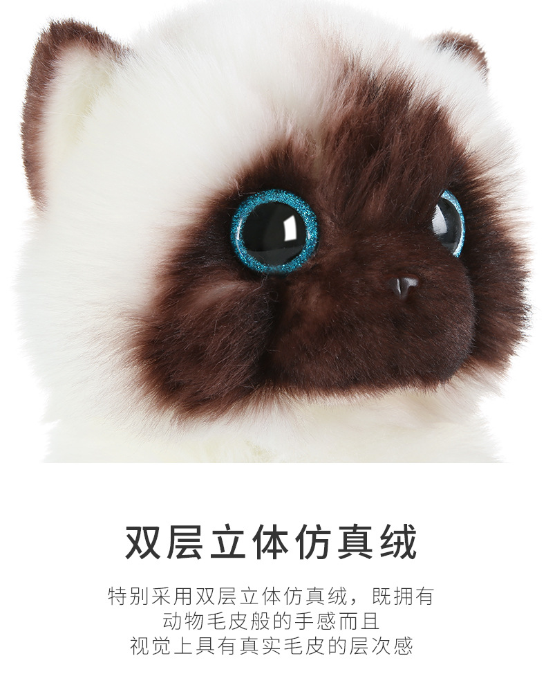 https://fulmo-img-server.com/nyankomo/5147755f-4d9f-4a4e-a3c3-5e479d3c5acc.jpg