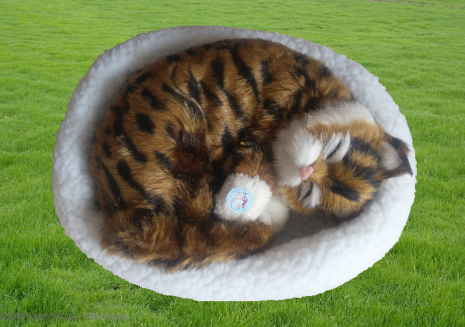 トラ茶猫ぬいぐるみ 眠る子猫のふわふわ丸型座布団付き猫ぬいぐるみ