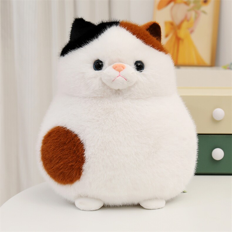 https://fulmo-img-server.com/nyankomo/58e00801-4162-4e3d-862e-f597d02f692e.jpg