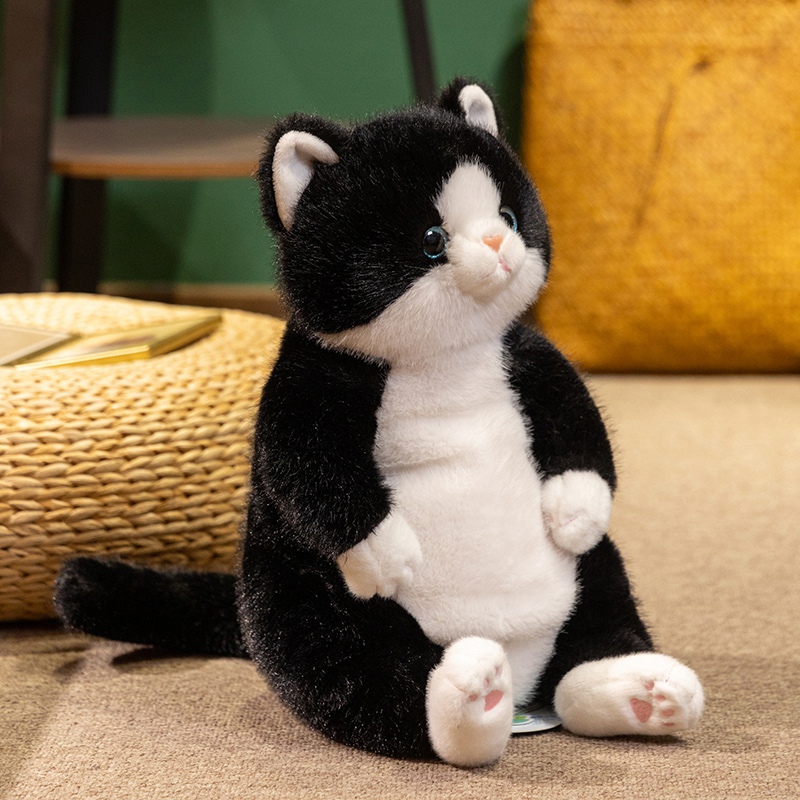 猫ぬいぐるみ もちもち抱きぬいぐるみ まんまる子猫