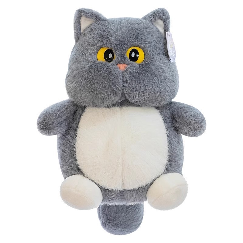 https://fulmo-img-server.com/nyankomo/614fbfc6-5ed9-46dd-ae75-07ef5f3a46ba.jpg