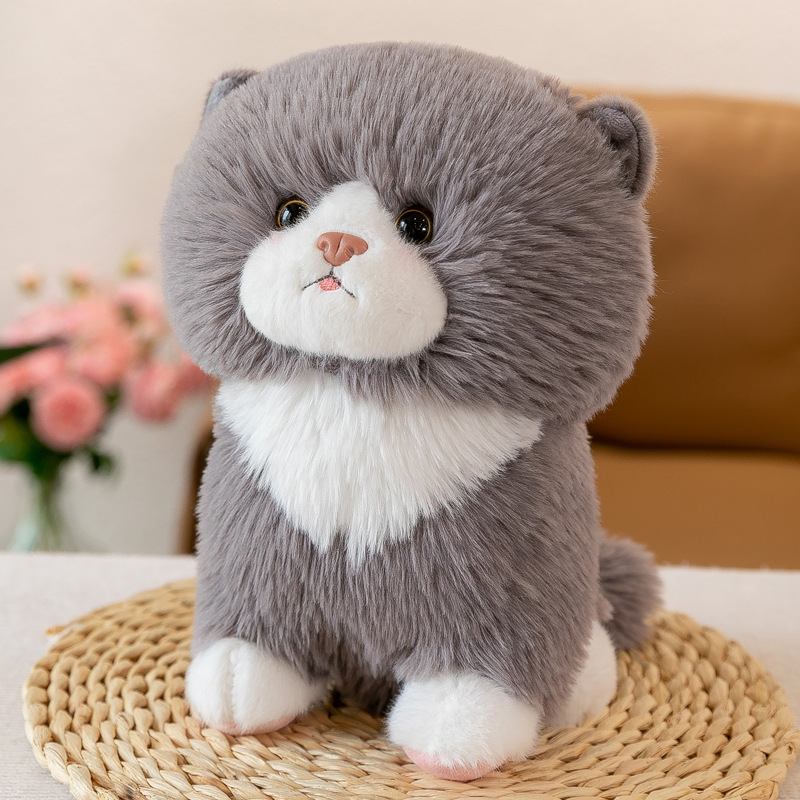 https://fulmo-img-server.com/nyankomo/620ccdbd-7de0-4e71-bee3-e4b255b40745.jpg