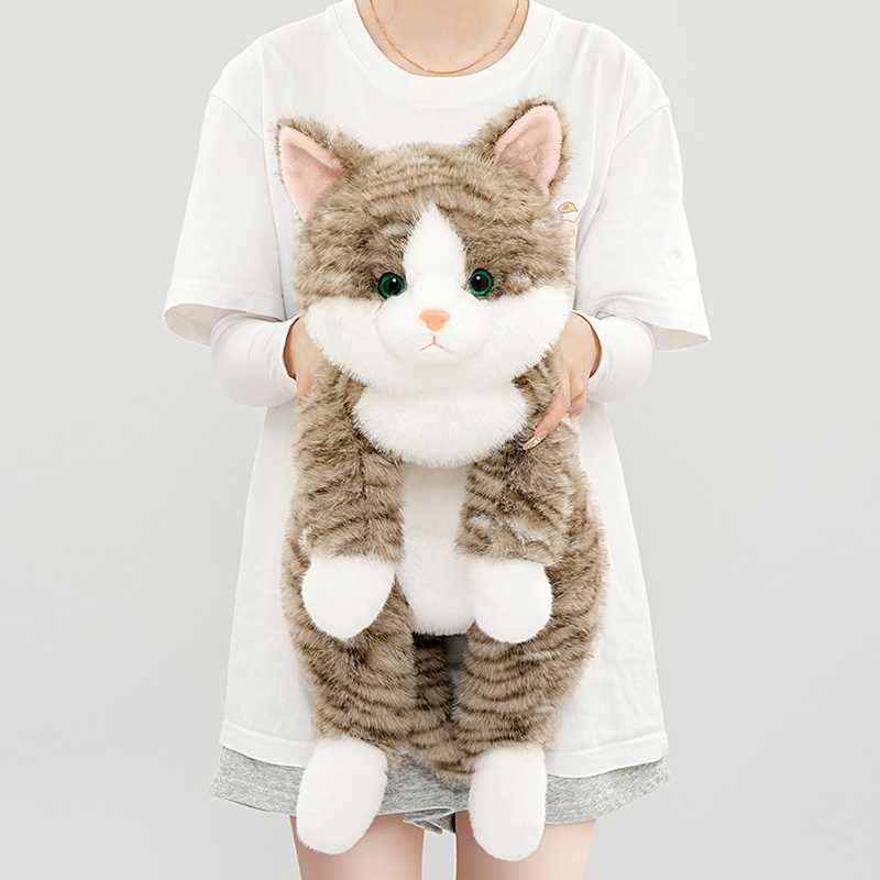 https://fulmo-img-server.com/nyankomo/63cff218-54c7-4529-ba16-d7d5ac1dbe81.jpg