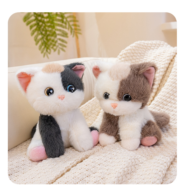 https://fulmo-img-server.com/nyankomo/646f4728-1ce3-40af-9392-81c24e3f2902.jpg
