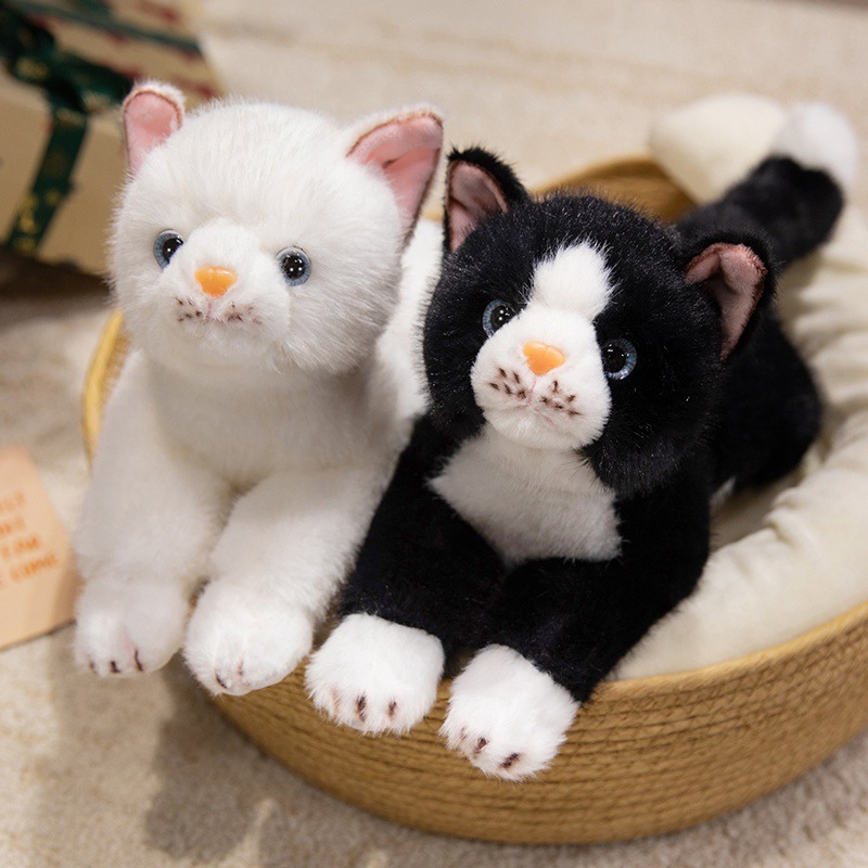 https://fulmo-img-server.com/nyankomo/6ca993f0-60e1-4f02-aa6d-ff929ee0cb59.jpg