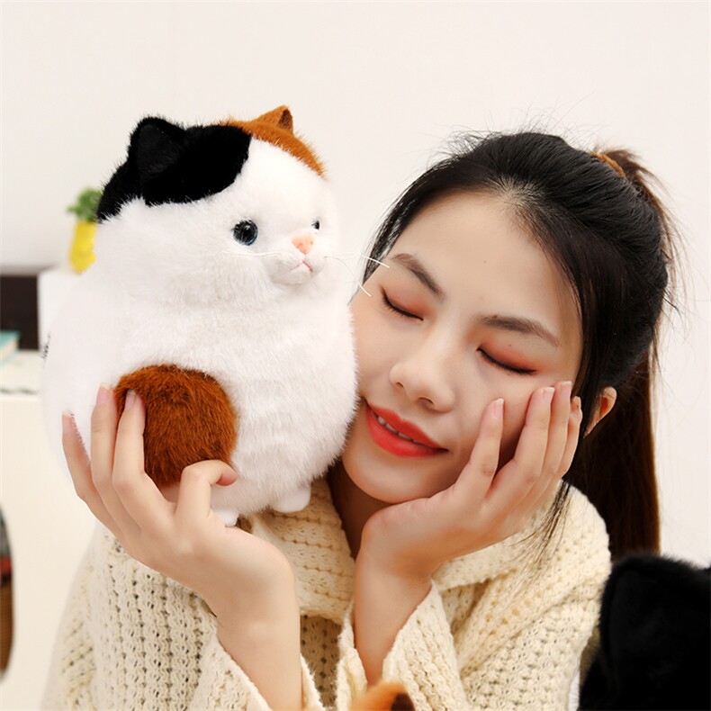 https://fulmo-img-server.com/nyankomo/6ce9b173-f9ba-4175-9cfd-ca7cb985004a.jpg