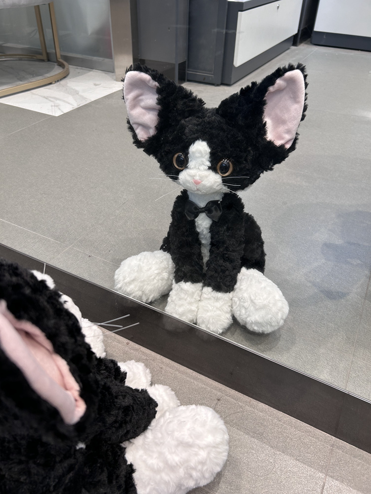 猫ぬいぐるみ 紳士の蝶ネクタイ子猫ぬいぐるみ
