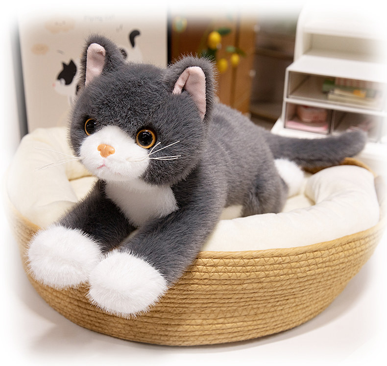 猫ぬいぐるみ ふわもふ夢見る子猫