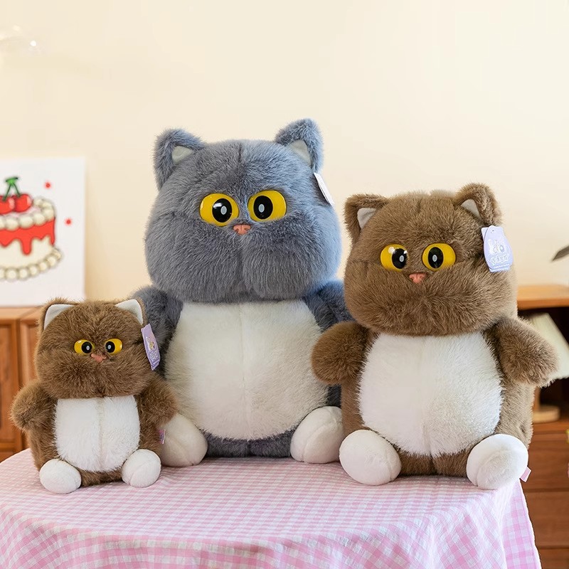 猫ぬいぐるみ まん丸ボディの大きな瞳がかわいい猫ぬいぐるみ