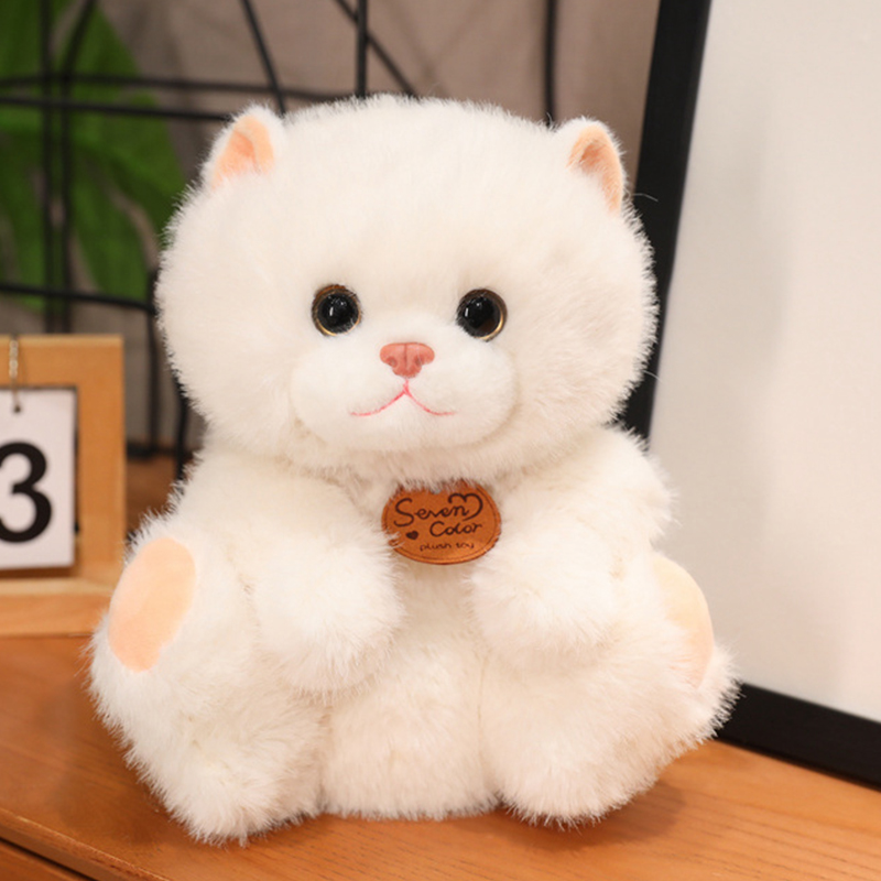 https://fulmo-img-server.com/nyankomo/754bcd6c-c97b-4621-93d9-bbf50bd7b300.jpg