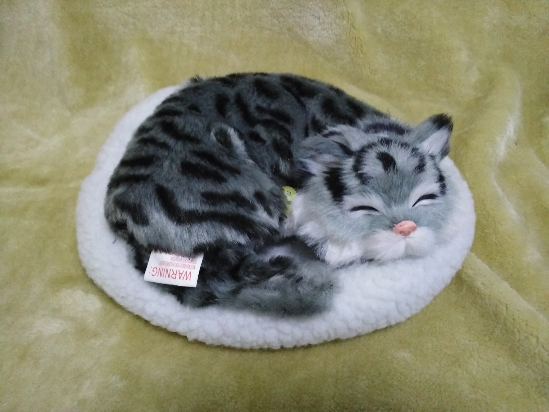 トラ茶猫ぬいぐるみ 眠る子猫のふわふわ丸型座布団付き猫ぬいぐるみ