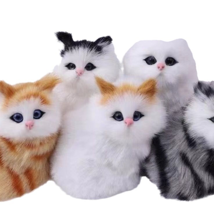 https://fulmo-img-server.com/nyankomo/75c102fb-a5b3-4b11-8502-9c0e091cd8c0.jpg