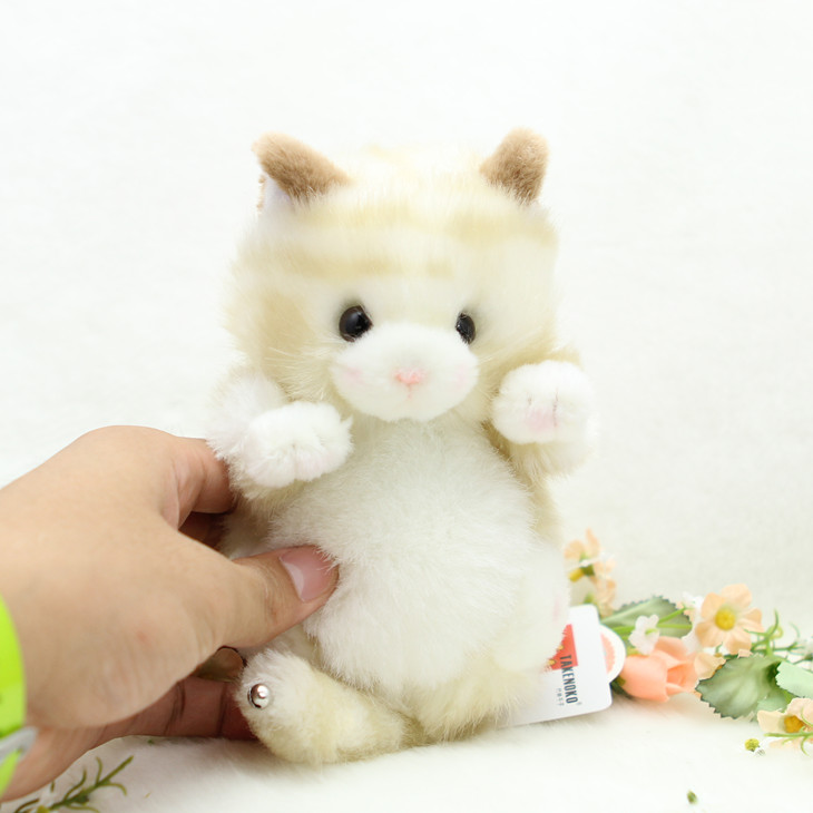 https://fulmo-img-server.com/nyankomo/7dd33903-b38d-4dcb-a83e-2a660cc84541.jpg