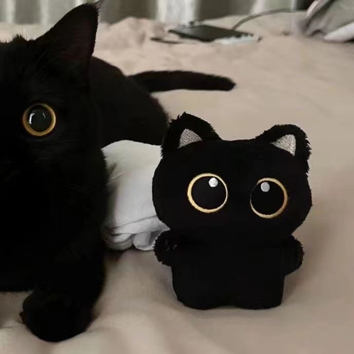 猫ぬいぐるみ まんまる瞳の夜空まもり猫