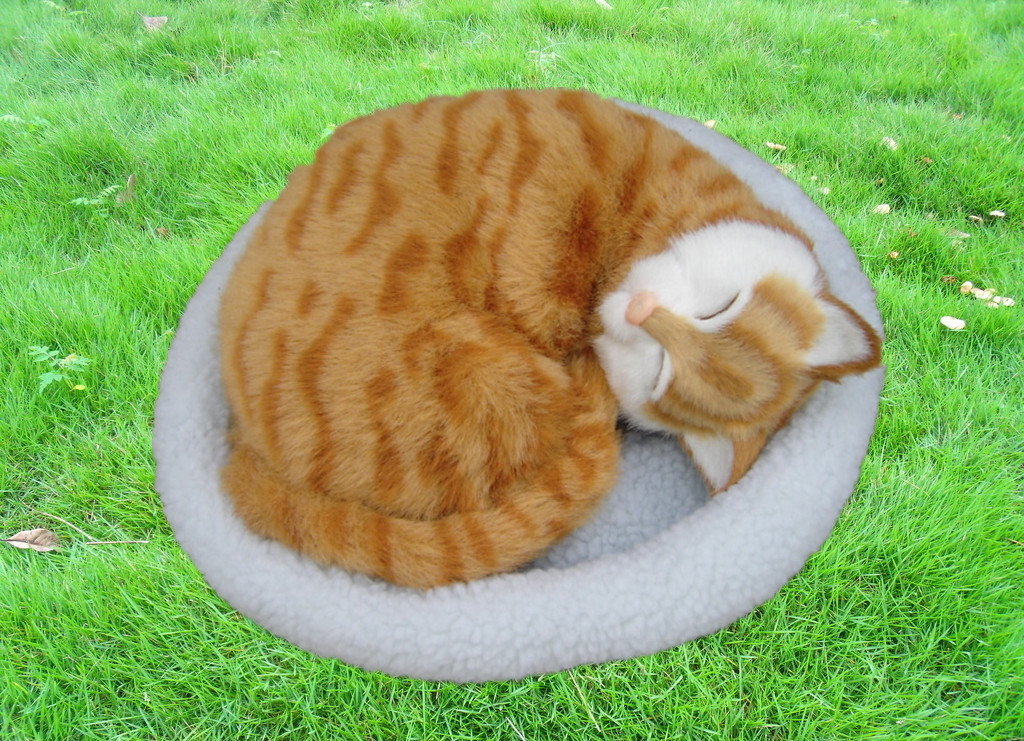 猫ぬいぐるみ まるくなって眠る子猫のぬいぐるみ丸型座布団付き