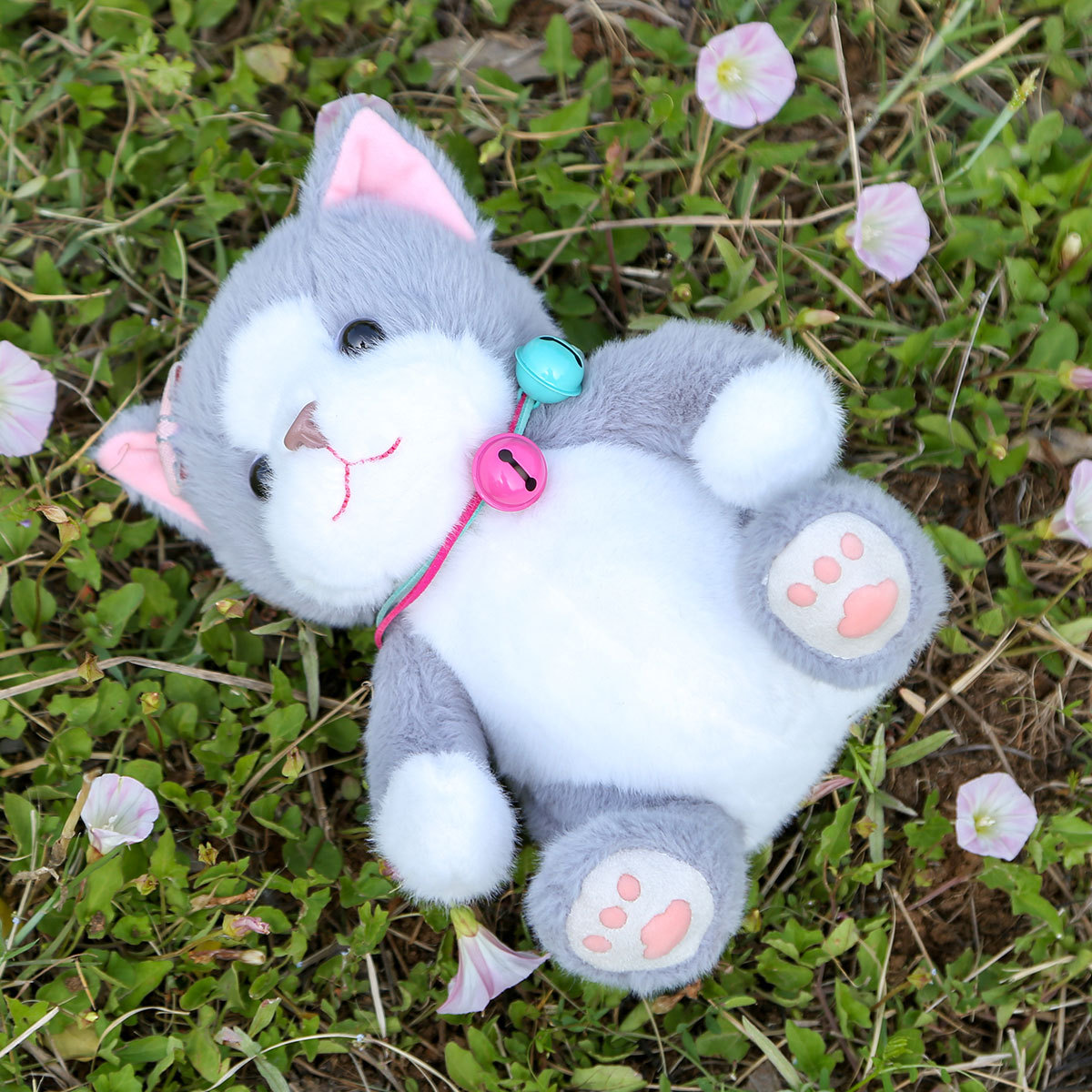 https://fulmo-img-server.com/nyankomo/8e769134-01d4-4c4f-81c2-98e67f73d246.jpg